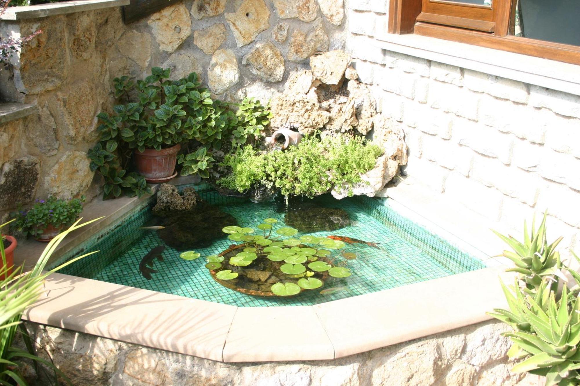 Bassano Romano B&B Le Palme מראה חיצוני תמונה