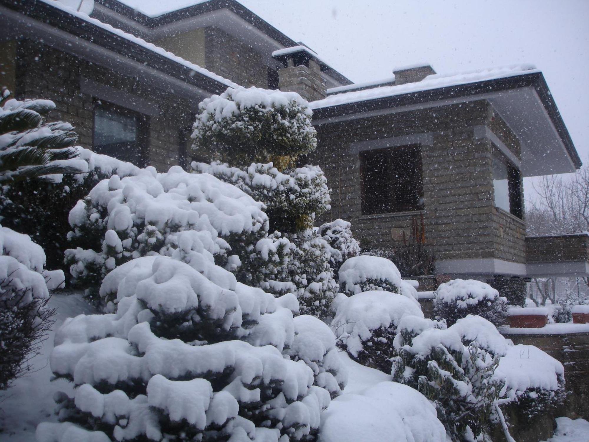 Bassano Romano B&B Le Palme מראה חיצוני תמונה